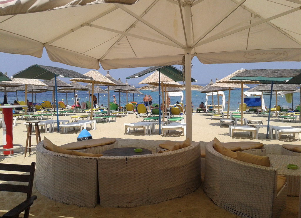  Drenia Magareća ostrva Atos 